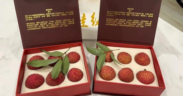 Có gì trong quả vải thiều giá lên tới gần 2 tỷ đồng, người có tiền cũng chưa chắc mua được? avatar1750404339129 17504043396491754991599jpg