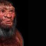 Sự thật về hài cốt Người Rồng khổng lồ ở Cáp Nhĩ Tân avatar1750424027390 17504240275351646298804jpg