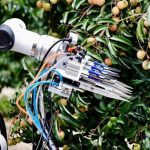 Drone bay ngợp trời, robot len qua từng gốc cây: Thủ phủ vải thế giới thu về hàng triệu tấn quả tươi nhờ ứng dụng công nghệ vệ tinh và AI tiên tiến nhất avatar1750516636328 17505166373061845459956jpg