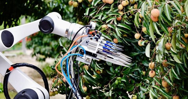 Drone bay ngợp trời, robot len qua từng gốc cây: Thủ phủ vải thế giới thu về hàng triệu tấn quả tươi nhờ ứng dụng công nghệ vệ tinh và AI tiên tiến nhất avatar1750516636328 17505166373061845459956jpg
