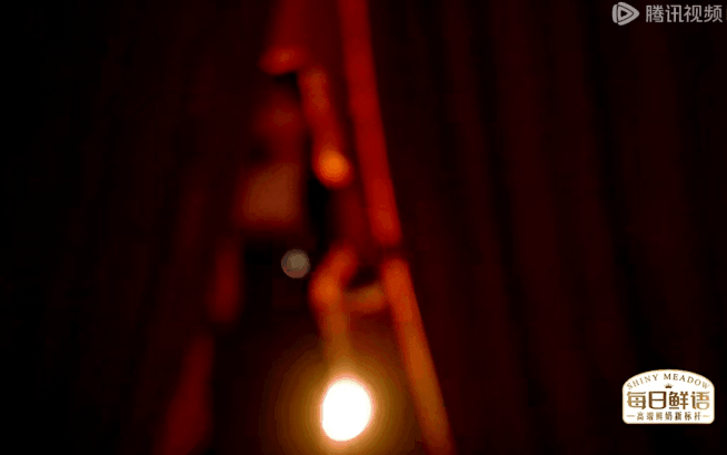 Búp bê cổ trang khuấy đảo Đại hội Tencent 2025: Người đâu đẹp hết phần thiên hạ, càng ngắm càng thích thế này