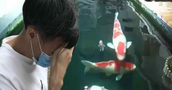 Chi tiền khủng cải tạo tầng hầm chung cư thành ao cá Koi, người đàn ông bị hàng xóm kiện ra tòa: “Anh không được làm thế” avatar1750672666222 1750672666533116944174 68 0 1268 1920 crop 1750672681468990489335jpg