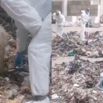 Tây Ban Nha: Thi thể bé sơ sinh 5 ngày tuổi bị phân xác và nhét trong nhiều túi rác, cảnh sát truy lùng tung tích người mẹ avatar1750837758747 17508377594191147420124png