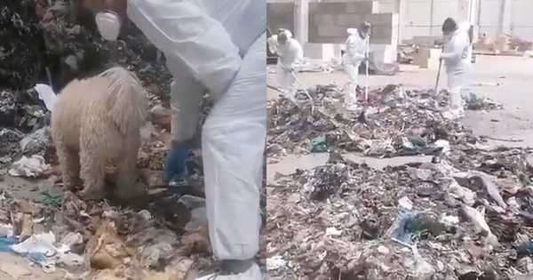 Tây Ban Nha: Thi thể bé sơ sinh 5 ngày tuổi bị phân xác và nhét trong nhiều túi rác, cảnh sát truy lùng tung tích người mẹ avatar1750837758747 17508377594191147420124png