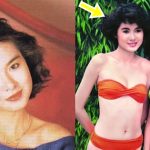 Á hậu bị “hồng hài nhi” giở trò sàm sỡ, suýt chết vì mê “dao kéo” avatar1750918949234 17509189496361162036939 17 0 369 672 crop 1750919336441465340335jpg