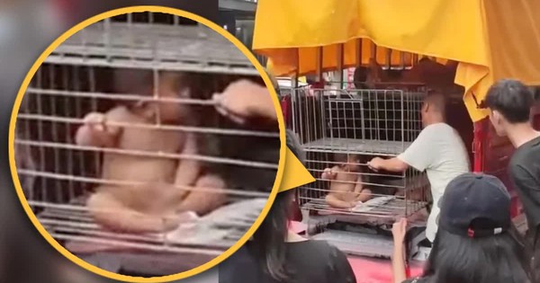 Sốc trước cảnh ông bố nhốt con trai nhỏ trong lồng sắt giữa phố avatar1750996761137 1750996761411305385337jpg