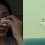 Sao nữ Vbiz thót tim khi chứng kiến cảnh 2 máy bay va chạm ở sân bay Nội Bài avatar1751092140109 17510921405531259494952png