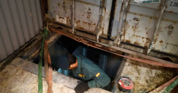 Sâu 4 mét dưới lòng đất: Cảnh sát phát hiện nhà máy thuốc lá giả, lợi nhuận "khủng" hơn 19 tỷ/tuần avatar1751340406681 17513404075012060536800png