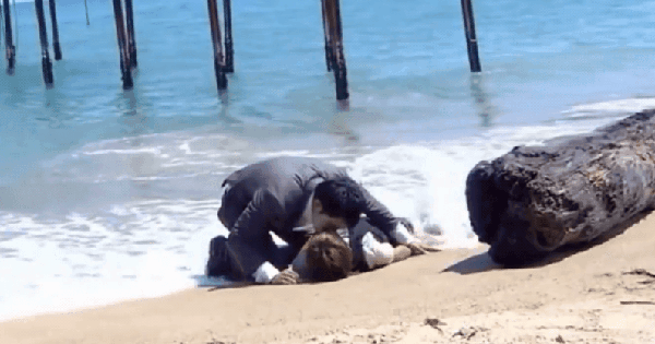 Phim Trung Quốc hot rần rần trở lại sau 14 năm: Nam chính khiến bạn diễn mê mệt, đào hoa đến nỗi bị dọa đánh avatar1751454039394 17514540398801667535217 95 0 512 797 crop 17514541896261986557239gifpng