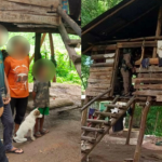 Chấn động: Bị mẹ bỏ rơi, bé trai 8 tuổi sống cùng đàn chó, còn không biết nói chuyện như người avatar1751519254624 1751519255144337979782png