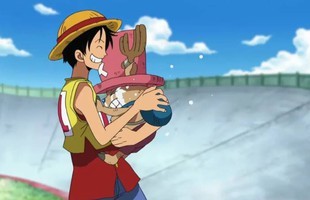 28 năm sau, One Piece xác nhận khả năng "độc nhất vô nhị" của Luffy avatar1751528104108 17515281044742114151808jpg
