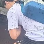 Hàn Quốc ngập tràn bọ tình yêu do nhiệt độ tăng cao avatar1751547387537 17515473879951577974796 0 182 568 1091 crop 17515474102581311095684jpeg