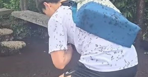 Hàn Quốc ngập tràn bọ tình yêu do nhiệt độ tăng cao avatar1751547387537 17515473879951577974796 0 182 568 1091 crop 17515474102581311095684jpeg