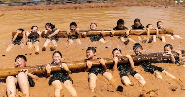 Bắt hiệu trưởng một trại hè, giấy phép là công ty du lịch không có hoạt động giáo dục và đào tạo avatar1751689668333 17516896687462091133842jpg