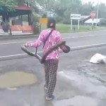 Đang đi dạo, bất ngờ thấy cảnh tượng "nổi da gà" avatar1751879674462 17518796746611820103479png