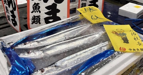 Cùng một tên gọi, ở Việt Nam chỉ bán vài trăm nghìn, Nhật Bản bán hơn 50 triệu/kg: Tại sao lại đắt như vậy? avatar1752313374721 17523133750781270087119jpg