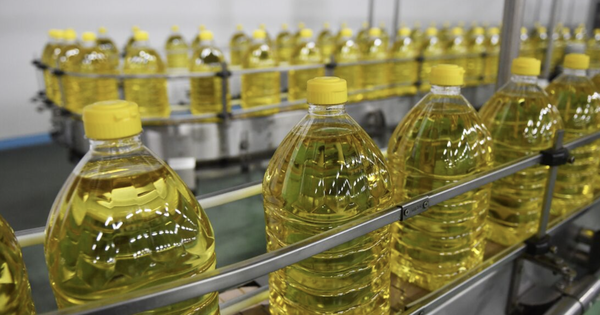 Nhận phản ánh của người dân rồi đột kích một xưởng sản xuất, công an triệt phá đường dây buôn dầu ăn giả thương hiệu nổi tiếng quy mô lớn ở Trung Quốc, tịch thu 400 thùng hàng nhái avatar1752369577294 1752369577497839447629png