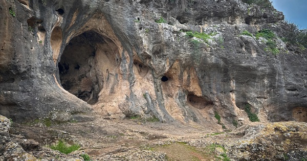 Tìm ra con lai F1 của người hiện đại và một loài khác ở Israel avatar1752381444723 17523814451141352190621jpg