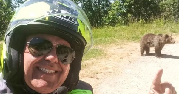 Du khách chết thảm sau khoảnh khắc chụp ảnh với gấu avatar1752465939693 1752465940263612270231jpg