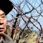 Người đàn ông nhận đền bù đất 20 tỷ đồng sau 15 năm mua nhà: Chủ cũ quay về đòi tiền, lại được toà án chia cho 60% avatar1752499767904 17524997701521370452998jpg