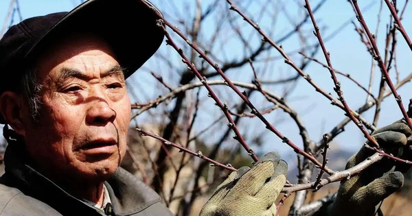 Người đàn ông nhận đền bù đất 20 tỷ đồng sau 15 năm mua nhà: Chủ cũ quay về đòi tiền, lại được toà án chia cho 60% avatar1752499767904 17524997701521370452998jpg