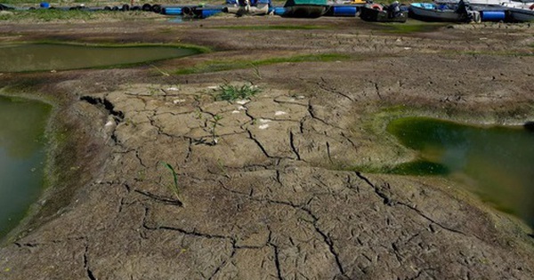 Châu Âu thiệt hại nặng vì nắng nóng avatar1752627235326 17526272357011945467013 0 45 315 549 crop 17526272533281028973006jpg