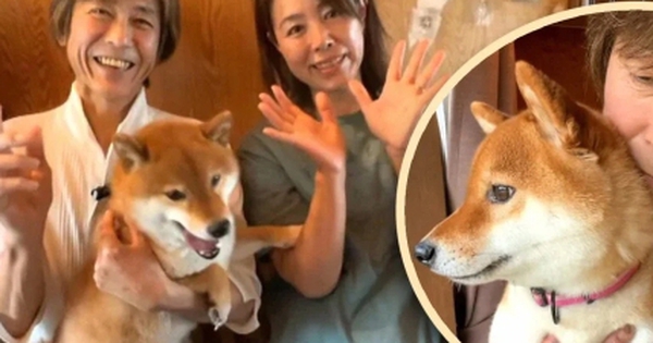 Trả ơn cứu mạng, người đàn ông bán xe Ferrari xây nơi trú ẩn cho chó avatar1752650962389 17526509627201101876182 2 19 270 447 crop 1752651016663116460383jpeg