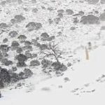 Không tặc gây náo loạn sân bay Canada, máy bay mất tích bí ẩn ở Úc avatar1752713909860 1752713910188570291214 0 27 315 531 crop 1752713927549753716815jpeg