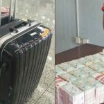 Tịch thu hơn 14,5 tỷ tiền mặt trong vali của 2 nhân viên công ty logistics avatar1752822752933 17528227532301274752218jpg