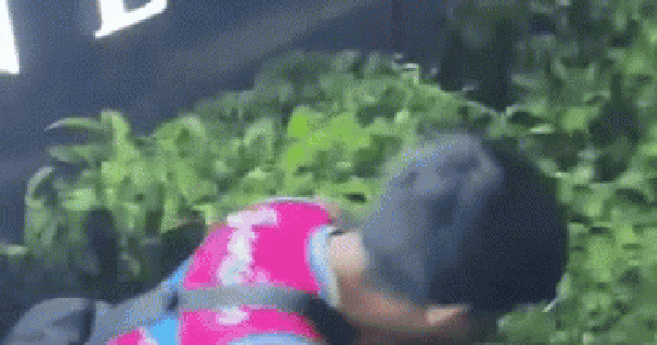 Thách đấu với người đàn ông, nhân viên bảo vệ cao lớn bị đo ván, biết danh tính đối phương mới ngã ngửa avatar1752826699332 17528266995471368215659 147 0 372 360 crop 1752826810919663331114gifpng