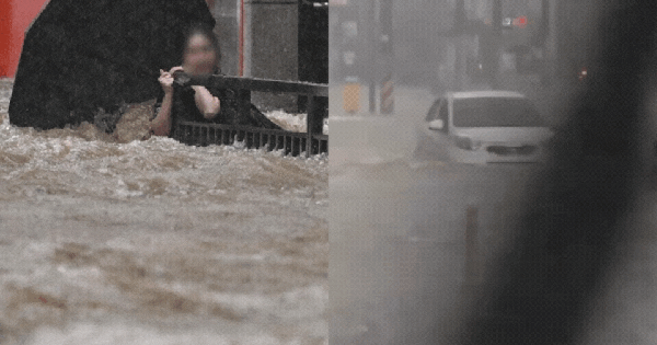 Hàn Quốc ngày thứ 3 oằn mình trong mưa lũ lịch sử: Siêu thị, Starbucks ngập kinh hoàng, ô tô chỉ thấy nóc, 5.000 người bỗng "vô gia cư" avatar1752830762034 1752830763326198687912gifpng