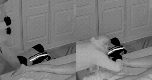 Kẻ lạ đột nhập tới 8 lần trong 1 đêm chỉ để làm 1 việc đáng sợ với người phụ nữ đang ngủ bên cạnh người yêu avatar1753249656298 1753249656535605778563gifpng