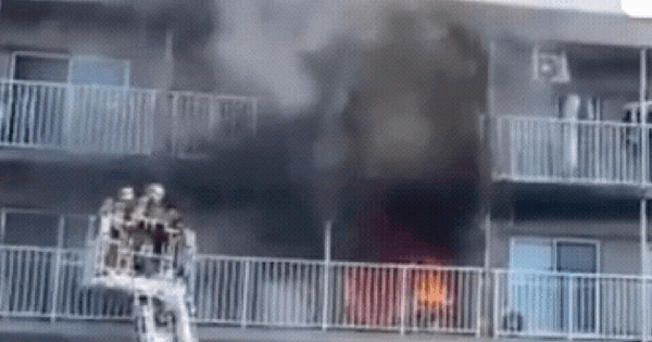 Nhật Bản: 51 xe cứu hỏa được huy động vì cháy quạt điện cầm tay avatar1753262702918 1753262703410426666494gifpng