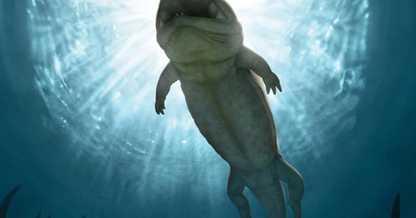 Xây tường, phát hiện “quái vật” mà thế giới chưa từng biết avatar1753264533365 17532645339151673241450 0 63 315 567 crop 1753265121703597807308jpg