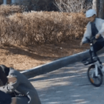 Phim Hàn tạo cơn bão rating 23,6% không ai cản nổi: Nữ chính U50 mà trẻ khó tin, hay nhức nhối khiến 3 triệu người mê mệt avatar1753676919235 17536769193811773622317 22 0 441 801 crop 1753677096193862978647gifpng