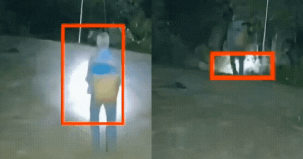 3h sáng, cụ ông 82 tuổi lặng lẽ ra vườn hái mận gửi cho con trai ở xa 1.300km, biết lý do ai cũng không kìm được nước mắt avatar1753781322562 17537813330571161705969gifpng