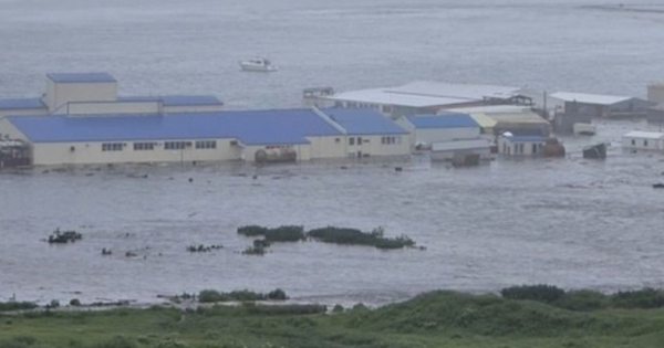 Video: Sóng thần tấn công quần đảo Kuril của Nga avatar1753845129698 175384512996910734809 0 54 272 490 crop 1753845182948975513735jpg