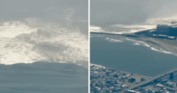 Sóng thần có thể di chuyển với tốc độ 700km/h "như máy bay phản lực", sóng nhỏ cũng đủ gây chết người avatar1753865379200 1753865380057453829585gifpng