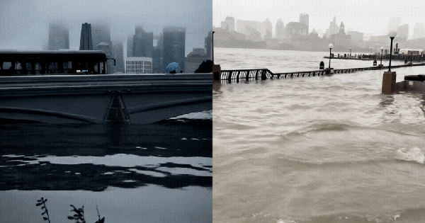 Cận cảnh bão Cỏ May quần thảo Trung Quốc: Nước dâng cao "nuốt chửng" Bến Thượng Hải, 280.000 người sơ tán avatar1753937514782 17539375151432063627810gifpng