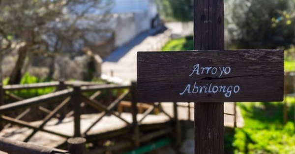 Cây cầu quốc tế ngắn nhất thế giới: 5 giây bước sang nước khác, đổi luôn múi giờ avatar1754039567681 17540395680201309351892 0 123 277 566 crop 1754039873171694038397jpg