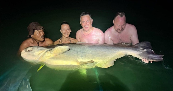 Nữ cần thủ câu được con cá tra dầu khổng lồ, nặng 126kg avatar1754096853434 17540968537231893998424jpg