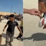 Cậu bé Gaza đi bộ 12km để nhận đồ cứu trợ, hôn tay cảm ơn nhưng bị bắn tử vong ngay sau đó avatar1754206067531 175420606800183264013jpg