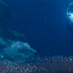 Ở độ sâu 9533 mét dưới biển, các nhà khoa học đã phát hiện ra một quần thể sinh vật siêu lớn, làm đảo lộn nhận thức của con người avatar1754221233106 17542212337181602031904 0 44 315 548 crop 17542212566561316750799png