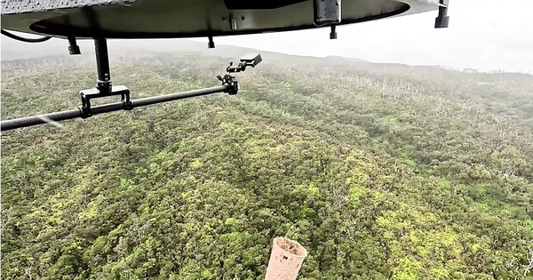 Từ trên trời rơi xuống, hàng chục nghìn cá thể sinh vật “tai tiếng” được thả về rừng: Người Mỹ đang toan tính điều gì? avatar1754279851703 17542798519371501477939png
