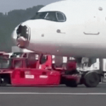 Hi hữu: Chim đâm vỡ mũi, máy bay phải quay đầu hạ cánh khẩn cấp avatar1754292944832 1754292947182683900013gifpng