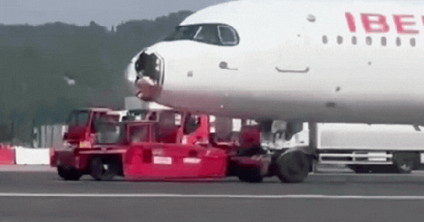 Hi hữu: Chim đâm vỡ mũi, máy bay phải quay đầu hạ cánh khẩn cấp avatar1754292944832 1754292947182683900013gifpng