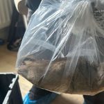 Bàng hoàng bắt được con chuột khổng lồ dài tới hơn 55cm avatar1754297946027 17542979463421771083029jpg