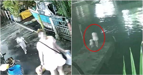 Mẹ dắt con gái ra cầu tàu rồi nhảy xuống biển, để lại di thư khiến ai cũng nghẹn ngào avatar1754540598600 1754540598856370349460png