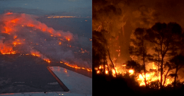 Cảnh tượng tựa "hỏa ngục" tại Pháp: Cháy rừng lớn nhất nhiều thập kỷ, Thủ tướng Pháp gọi đây là "thảm họa quy mô chưa từng có" avatar1754625137433 1754625137773373054963gifpng