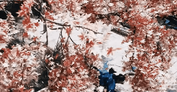 Trung Quốc hiện tại tìm đâu ra mỹ nhân cổ trang đẹp hơn thế này: Visual tuyệt sắc khuynh thành, ngôn từ không thể diễn tả avatar1754815191978 1754815192365572341912 56 0 453 758 crop 17548153306127454127gifpng